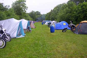sunfellow_07.jpg