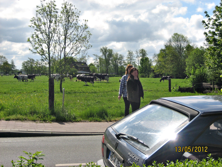 30_016_Spoekis_Sommer_11_05_2012.JPG