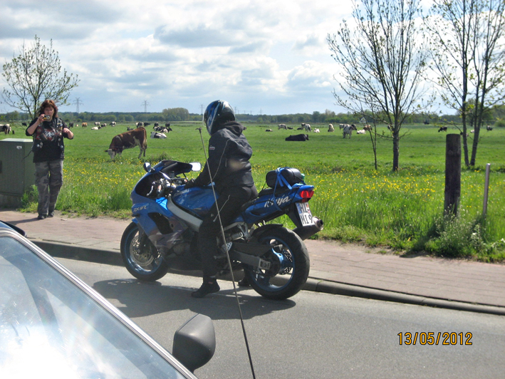 30_053_Spoekis_Sommer_11_05_2012.JPG