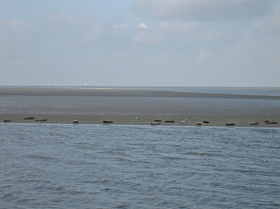 20140830_130604.JPG