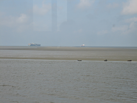20140830_131209.JPG