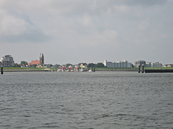 20140830_133209.JPG