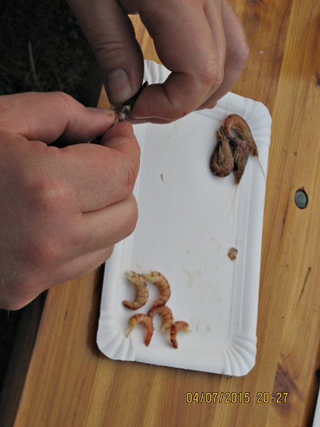 20150704_202736.JPG